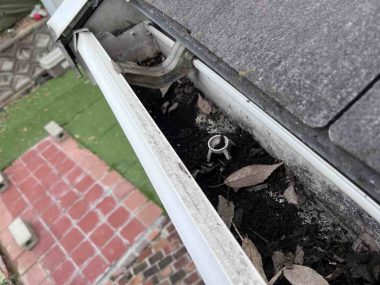 樋 Before イメージ