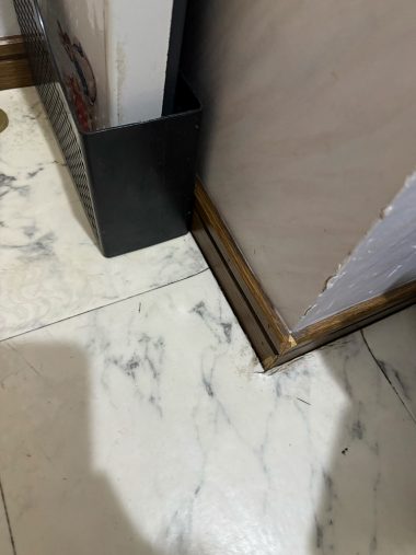 洗面室 Before イメージ